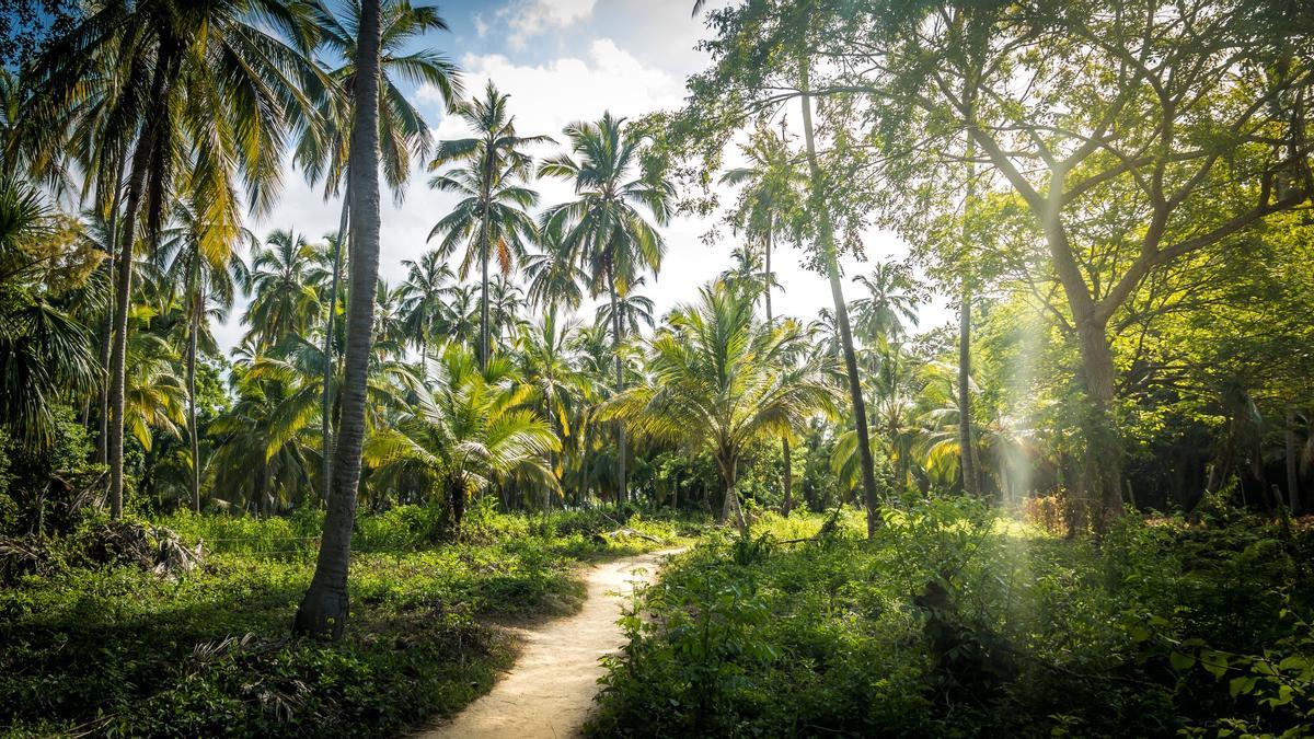 Parque Nacional Natural Tayrona, Colombia