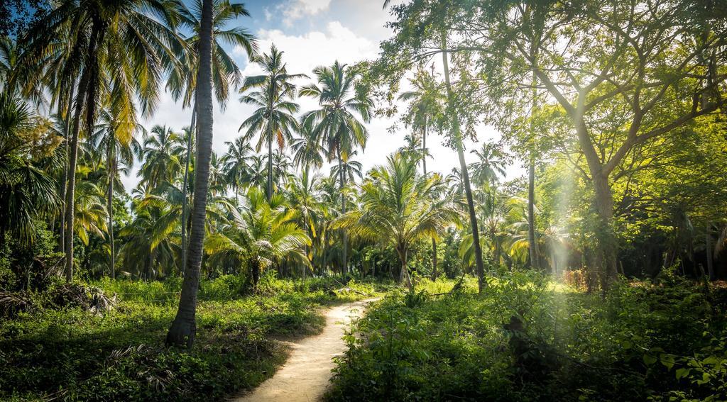 Parque Nacional Natural Tayrona, Colombia