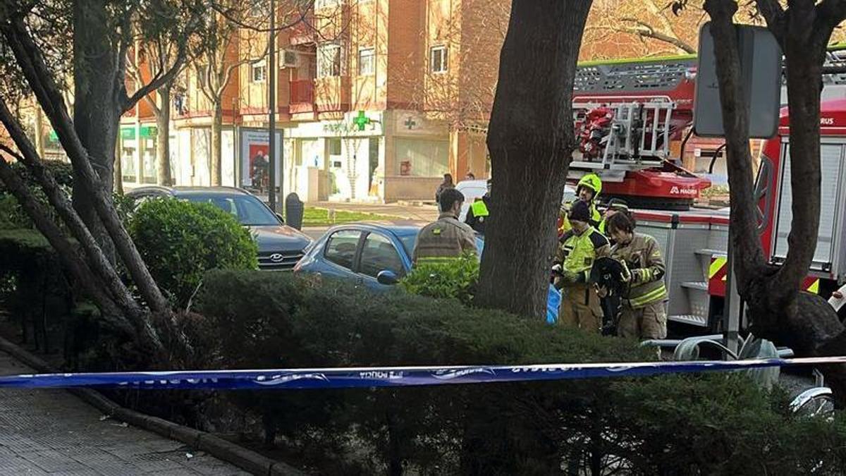 Los bomberos de Zaragoza, en un momento de la intervención en La Cartuja.