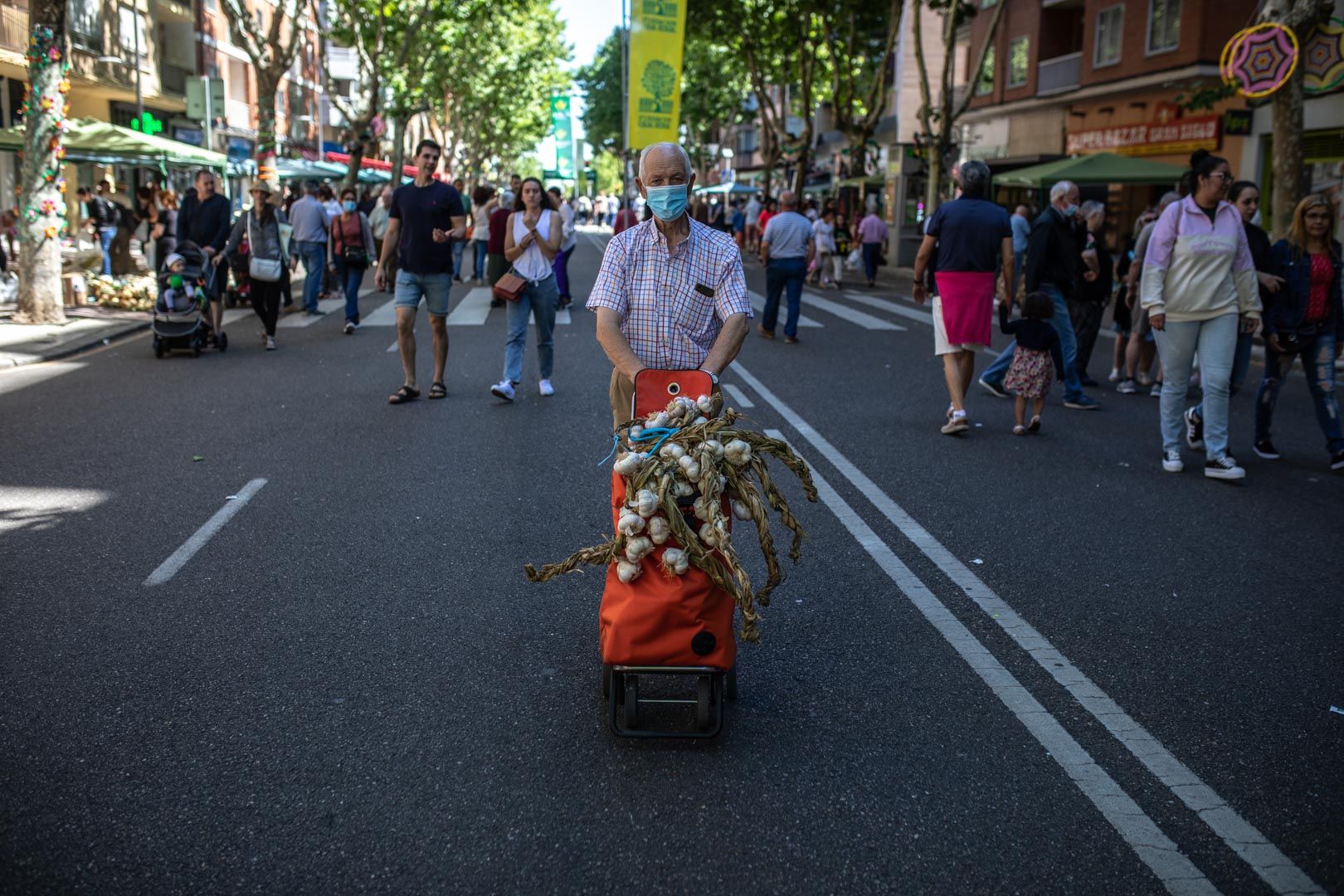 GALERÍA | Las mejores imágenes de la Feria del Ajo de Zamora