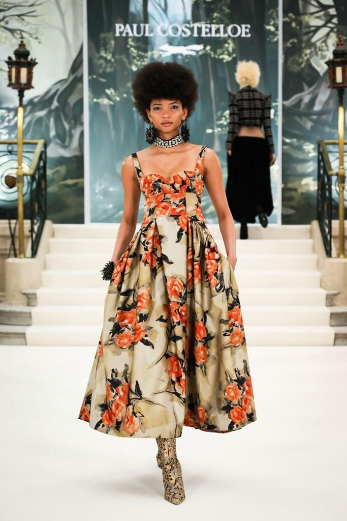 Paul Costelloe