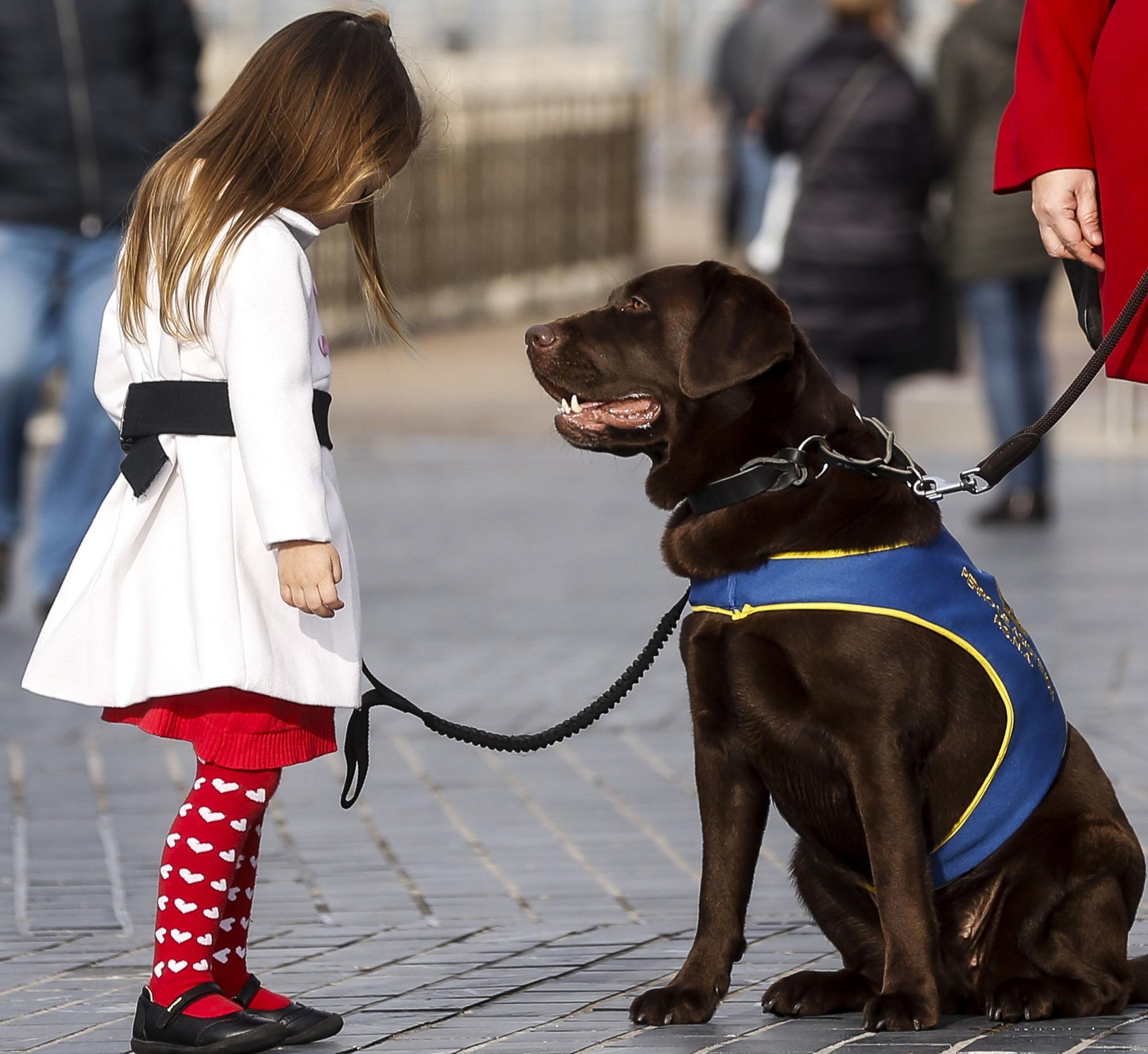 Niña con autismo con perro asistencia