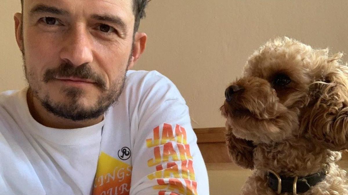 Orlando Bloom comunica la muerte de su perro desaparecido