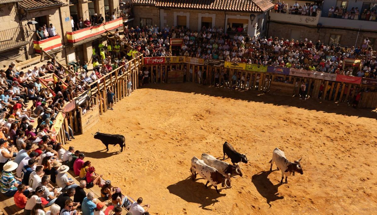 Plaza de toros de madera en la Plaza Mayor de Fermoselle durante las fiestas de San Agustín de 2022. | |  JOSÉ LUIS FERNÁNDEZ