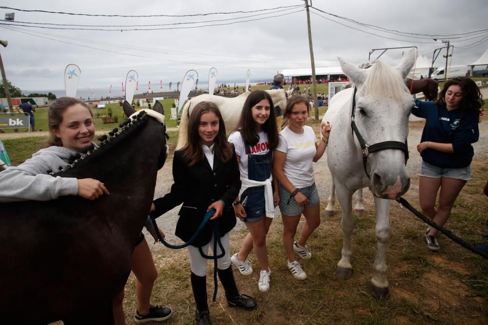 Festival Hípico de Luanco