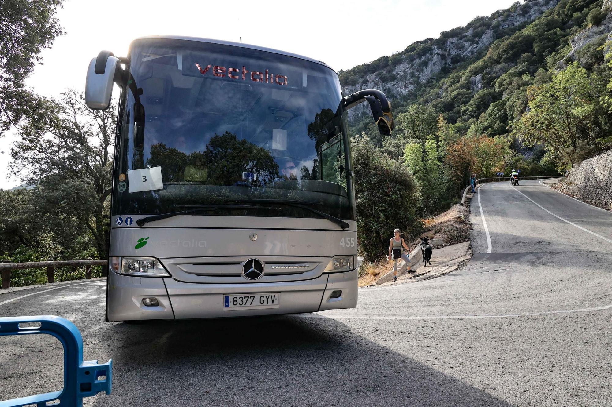 Romería a la Ront Roja