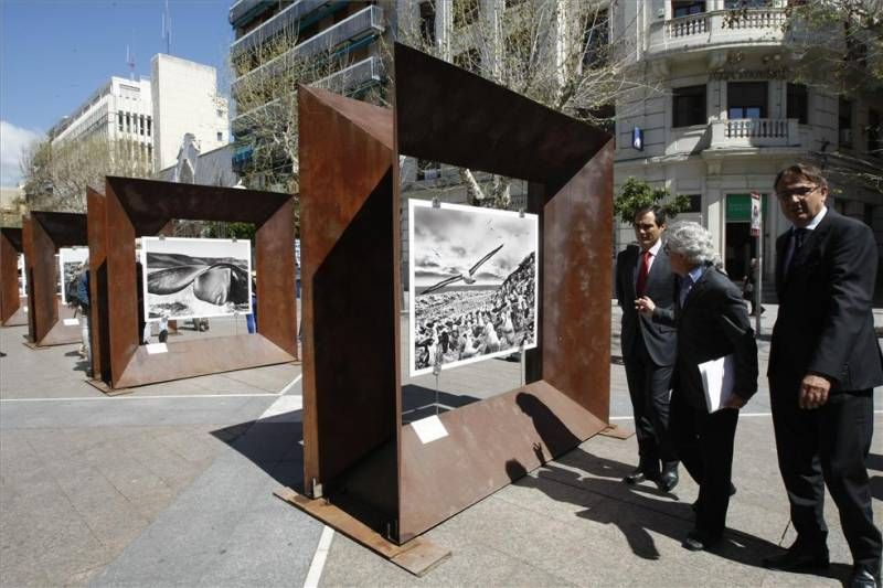 GALERÍA GRÁFICA / 'Génesis', exposición de Sebastiao Salgado en el Bulevar