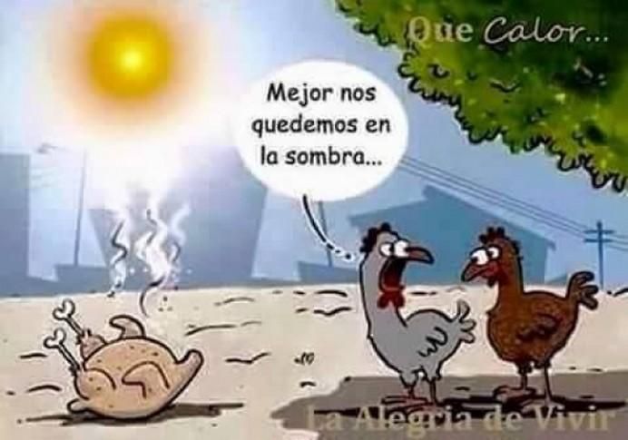 Los mejores memes del calor (comienzo del verano)