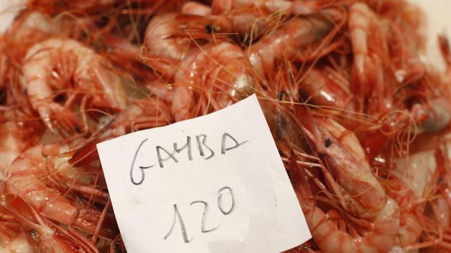 Gambes en una peixetaria del Mercat del Lleó