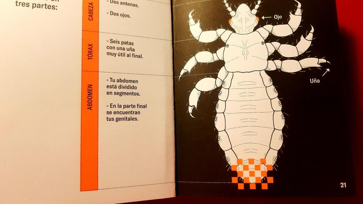 Imagen del libro 'Manual de supervivencia para piojos' (editorial Litera)