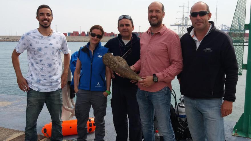 En el centro José Tena y José Rafael March, del IMEDMAR, durante la extracción de unos ejemplares de nacra en el Puerto de Valencia.