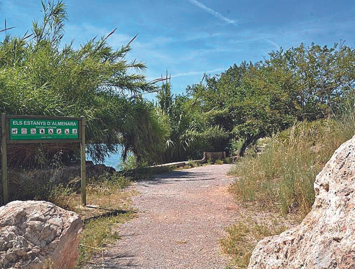 Els Estanys es un espacio natural único perfecto para conocer y disfrutar de la flora y fauna propias de este humedal de la Marjal d’Alemanara.