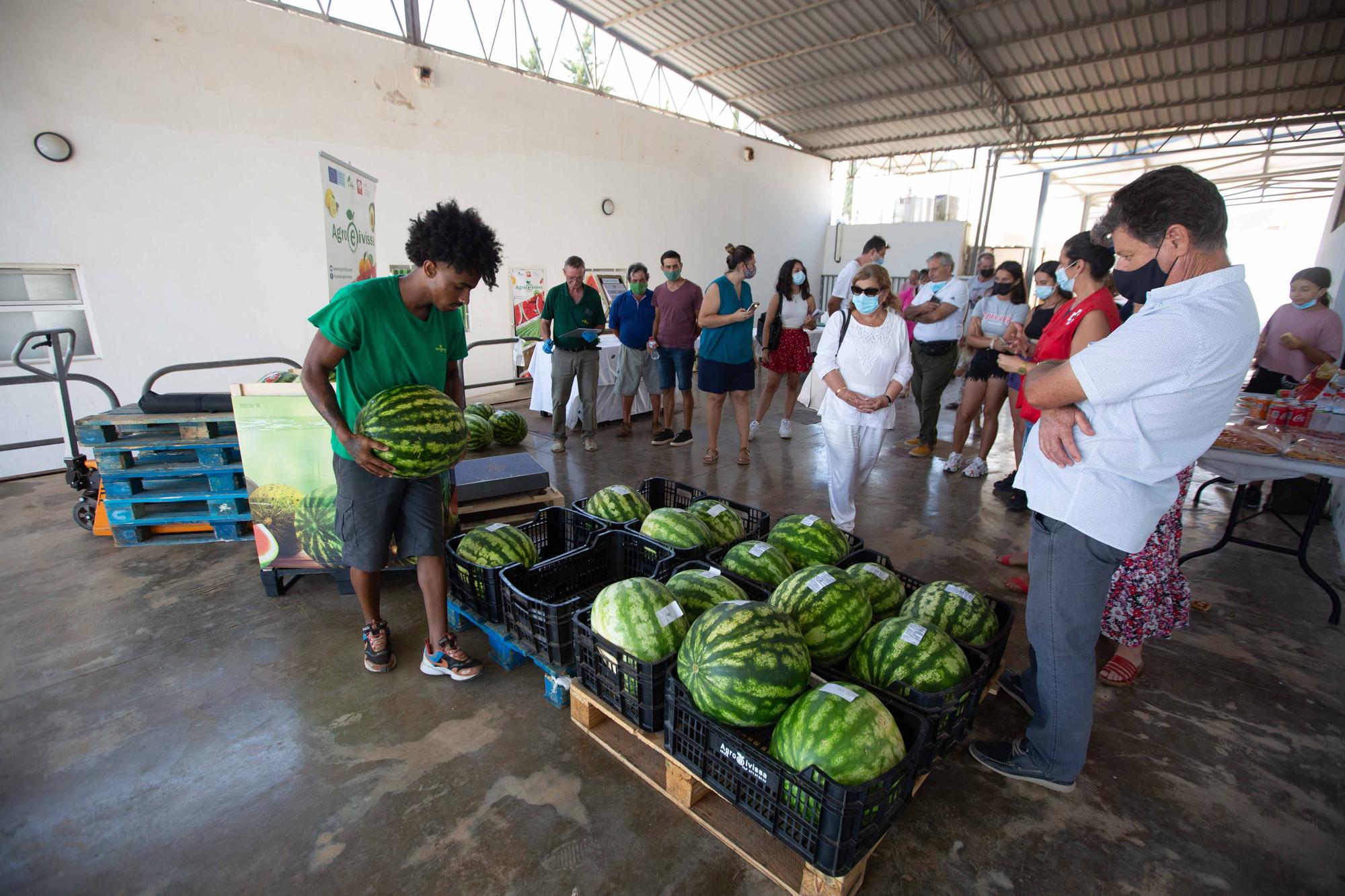 La ‘sandía más grande del mundo’ pesa 20 kilos y es de es Canar