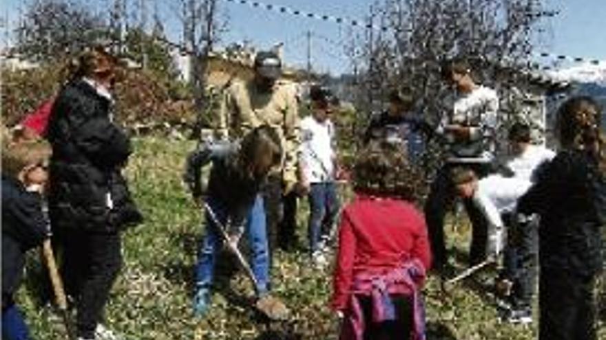 Joves plantant arbres dins la campanya de primavera del parc