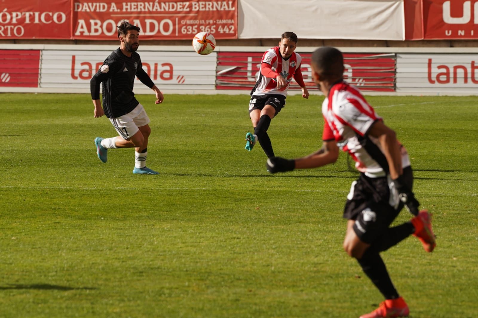 Repasa las mejores imágenes del partido entre el Zamora CF y el DUX Internacional