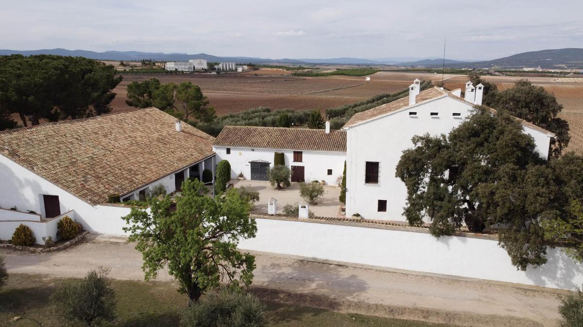 Instalaciones de Bodegas Vicente Gandia.