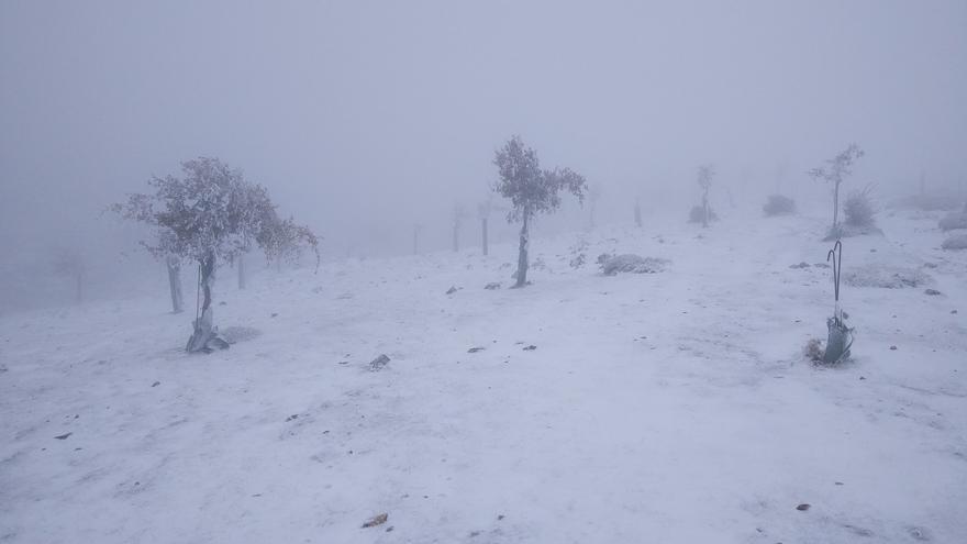 La ola de frío cubre de blanco la Sierra de las Nieves