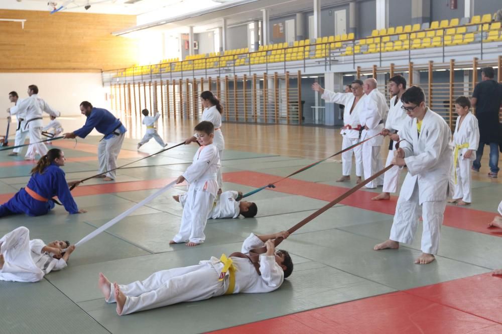 Judo para todos