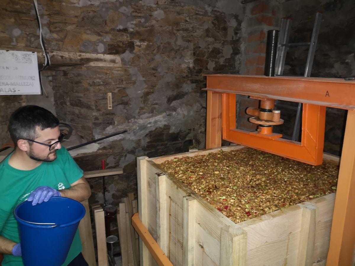 Alejandro Bermúdez en pleno proceso de elaboración de sidra.