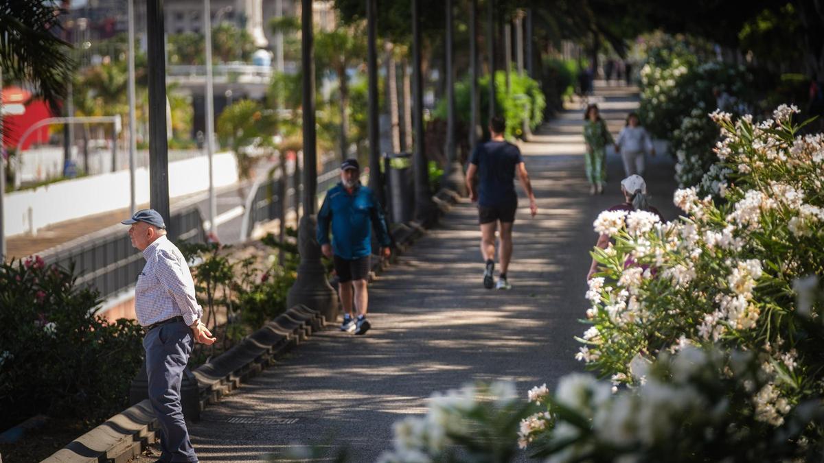 Estado actual de la avenida de Anaga, en el municipio de Santa Cruz de Tenerife.