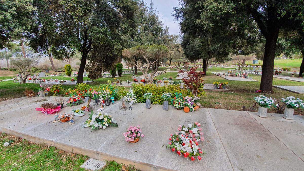 Cementerio de Alcalá de Henares (Madrid), parecido a la proyección realizada por el Ayuntamiento de Tarragona.