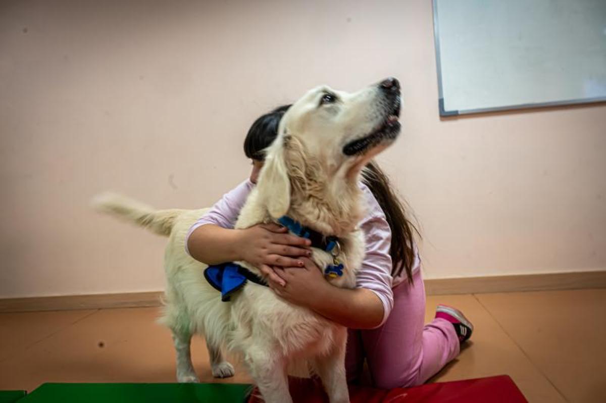 Terapia con perros, en el hospital de día de niños, en el Clínic