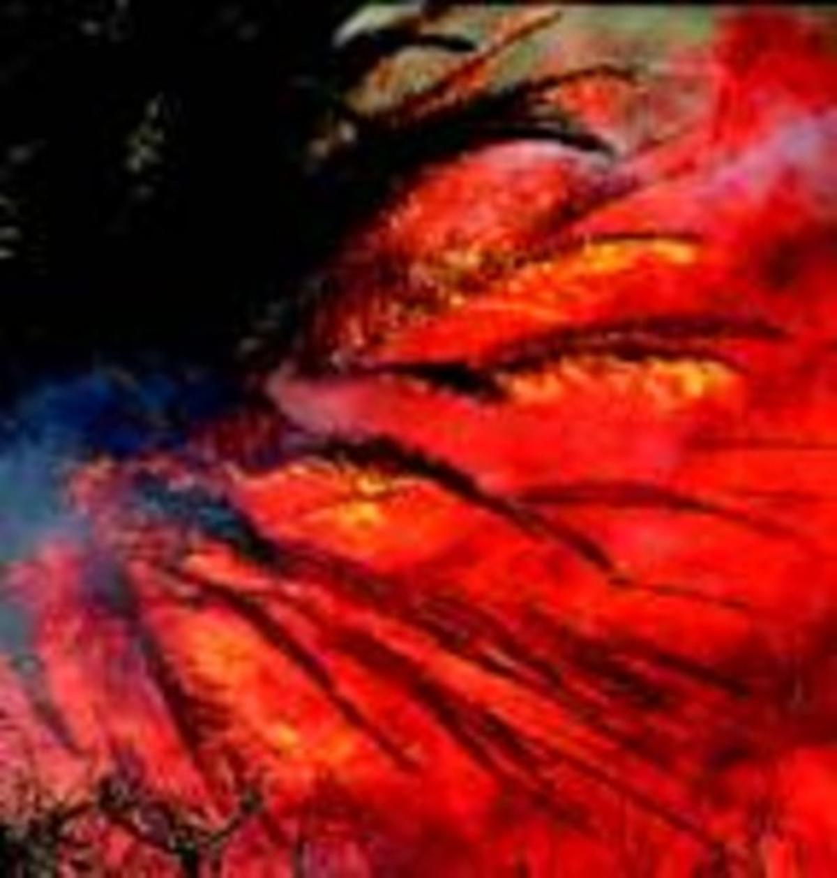 El foc a Hermigua. El foc a Hermigua.