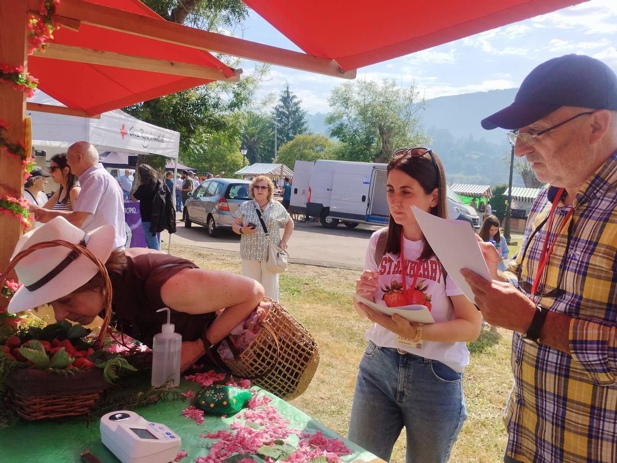 El Festival de la Fresa de Candamo, en imágenes