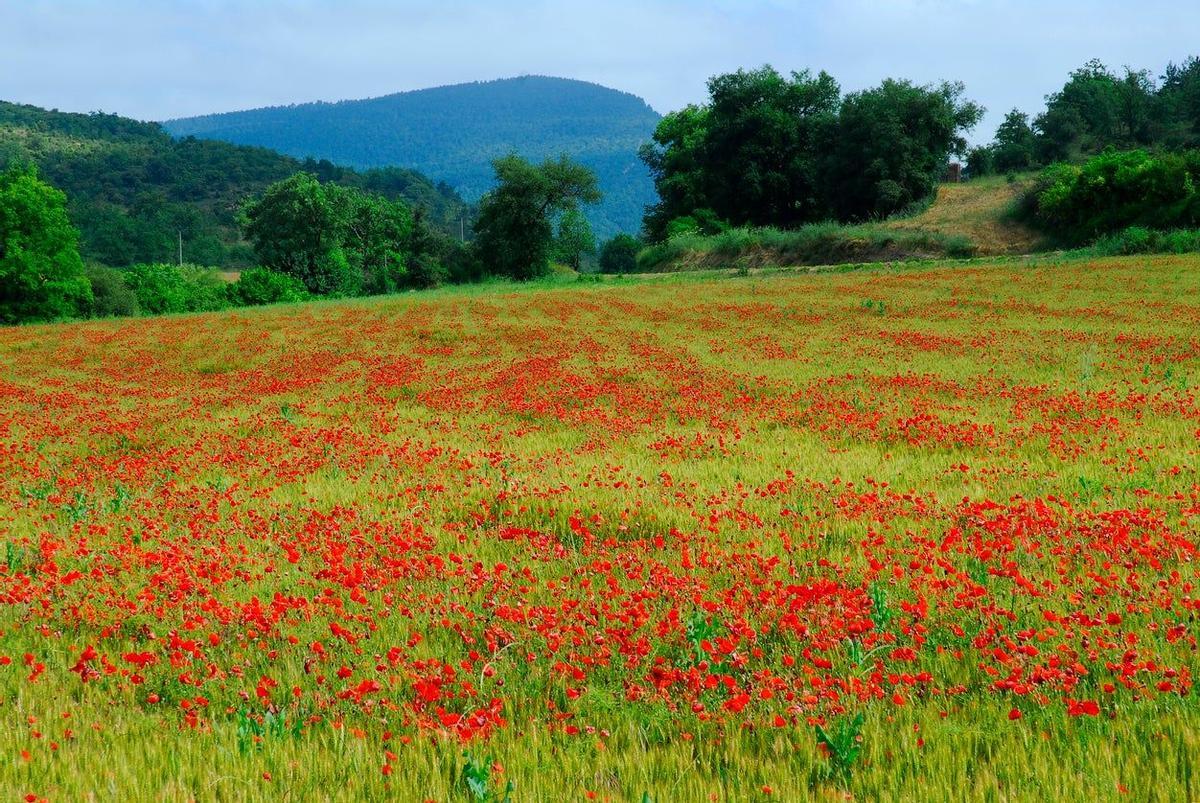 Valderejo, Álava