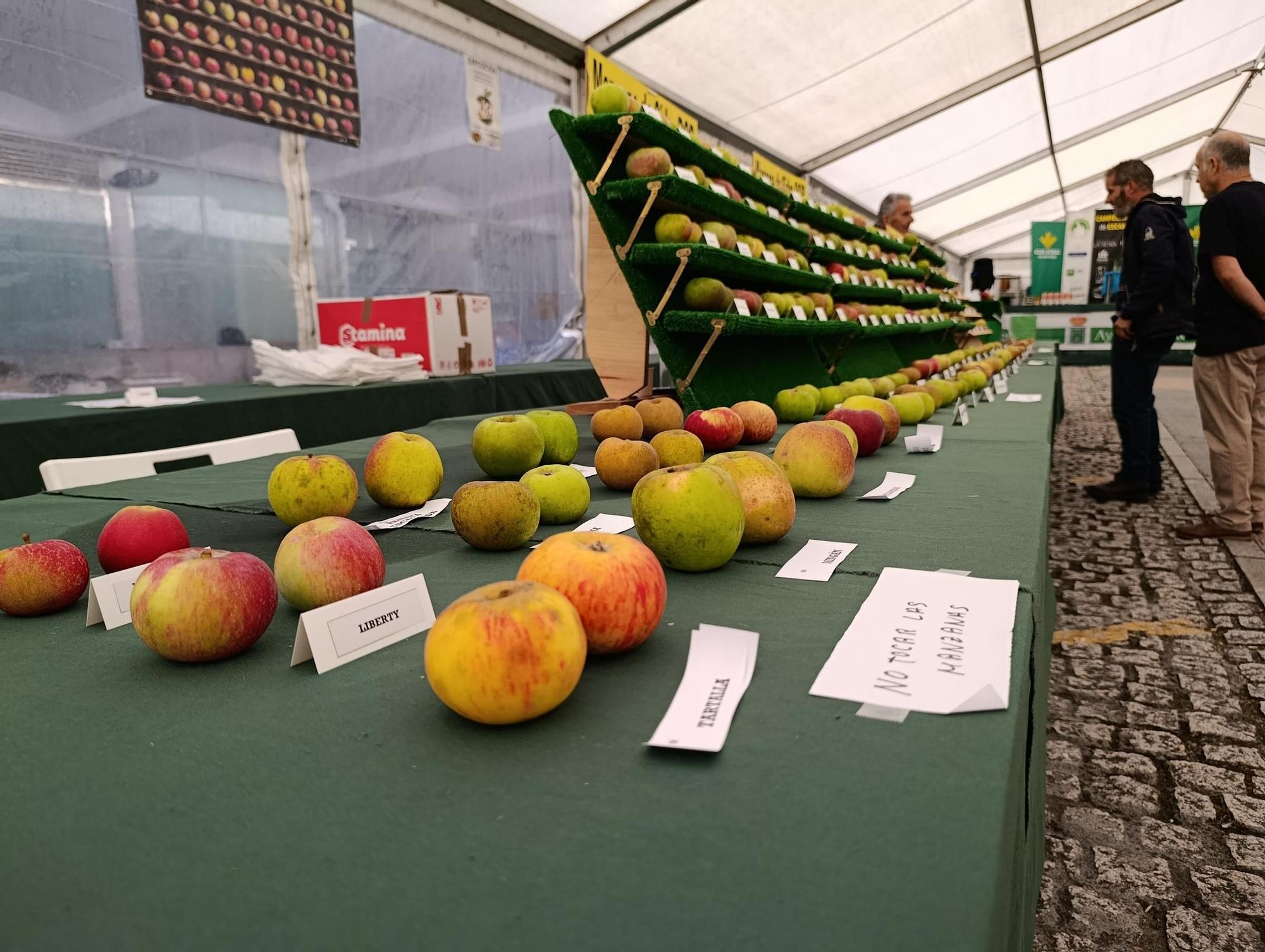 Lleno en la muestra agroalimentaria de la Plaza de Abastos de La Pola