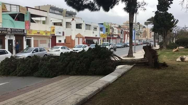 Entorno del paseo marítimo de Torre del Mar.