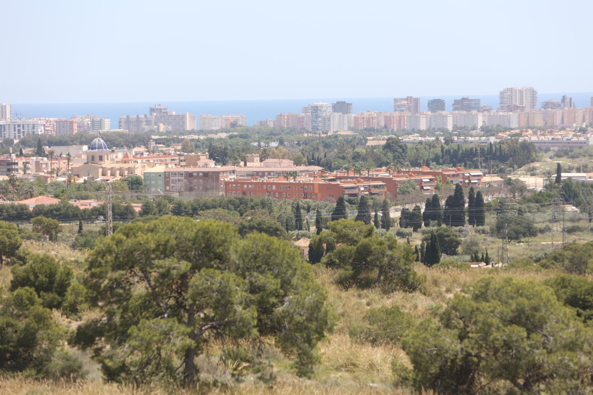 Vista de la huerta de Alicante
