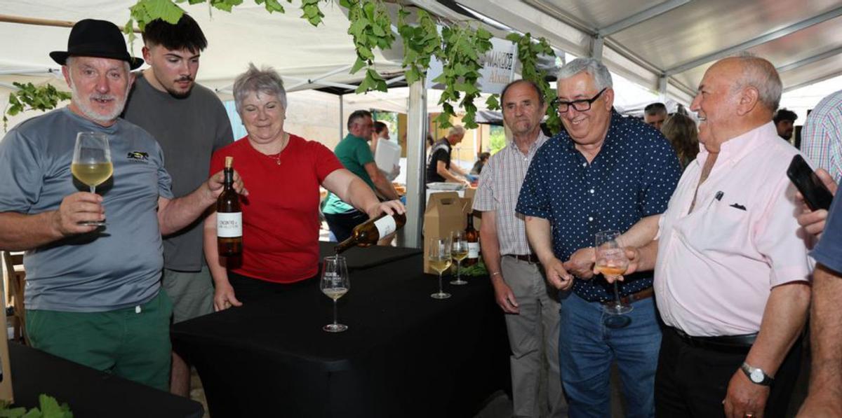 Los vinos de pequeños productores fueron un éxito. |  Alba Villar