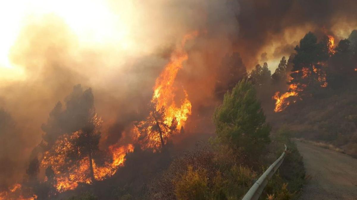 Un grave incendio está afectando la comarca del Alto Mijares.