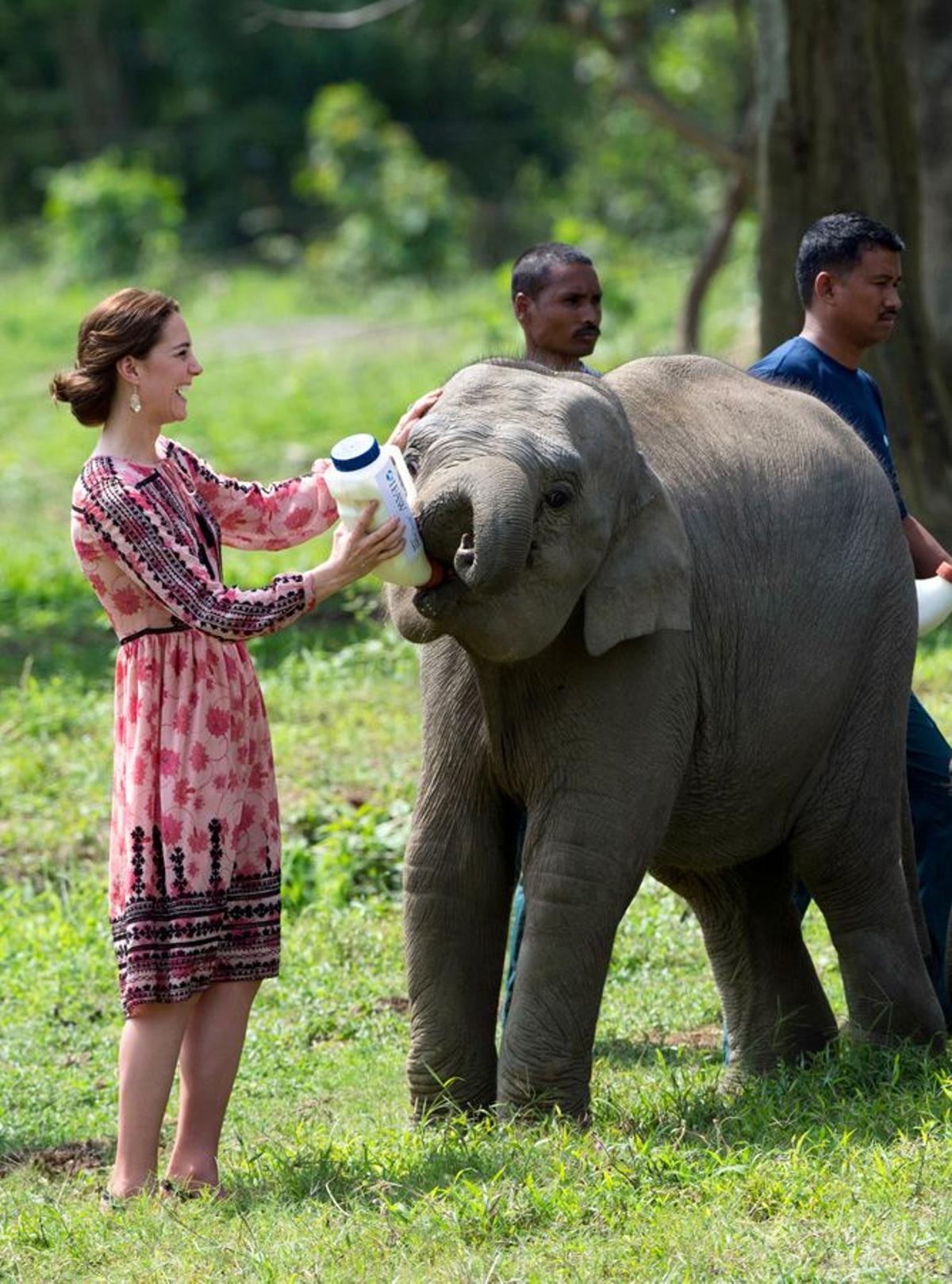 Kate Middleton dando el biberón a un elefante con un vestido de Topshop