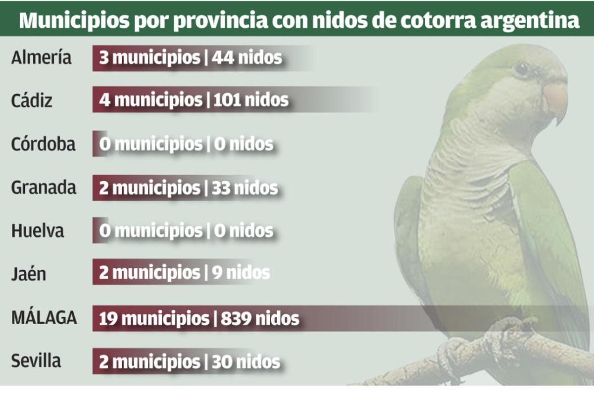 Soluciones: Usar balines, un método eficaz y barato