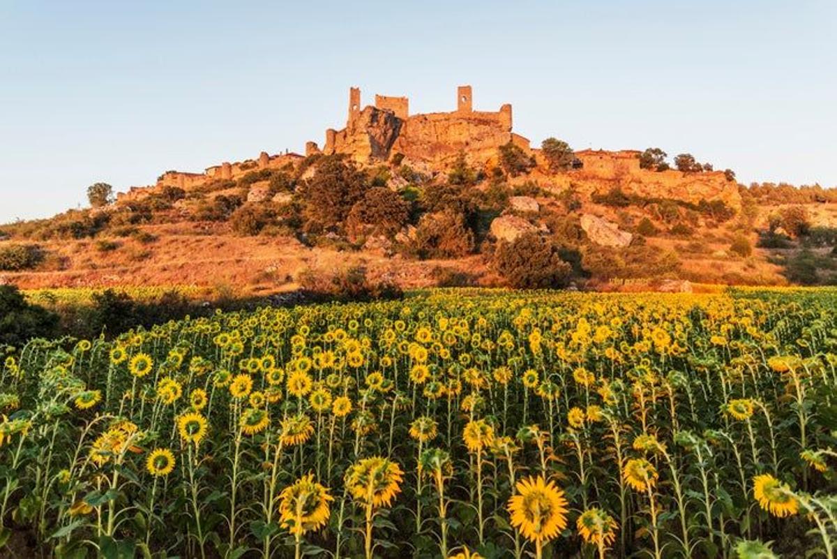 Calatañazor, Soria