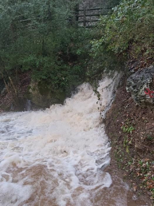 L'aigua a les Coves del Toll