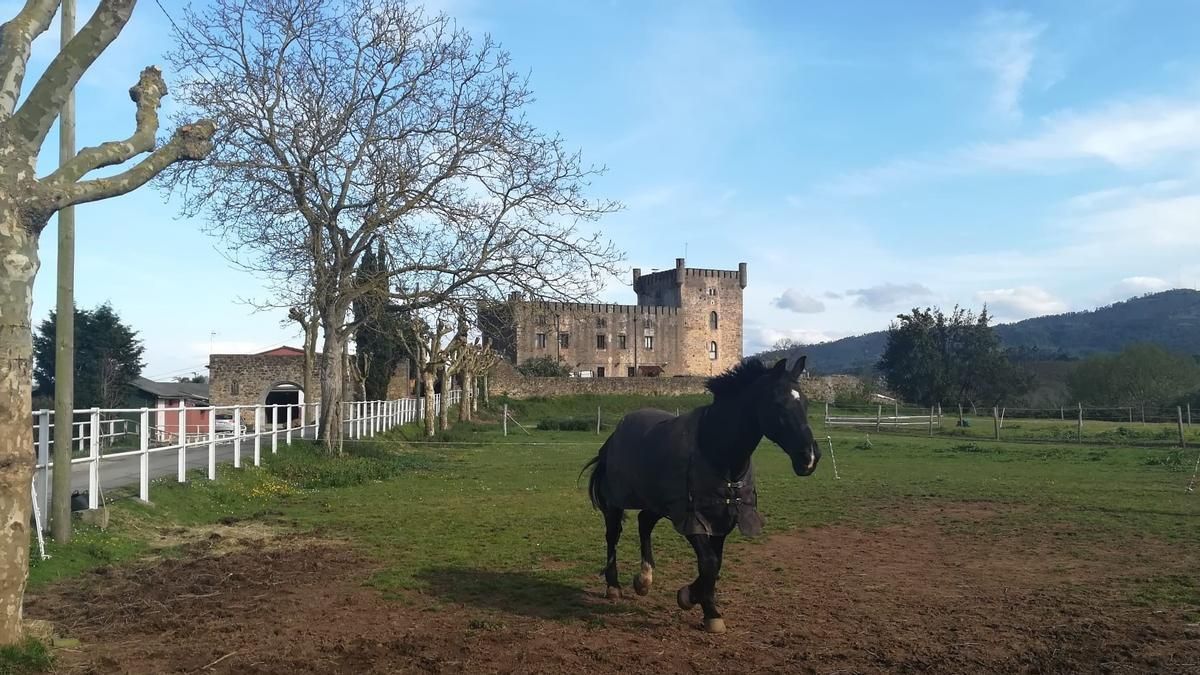 Cinco palacios y mil historias de amor: así son las edificaciones más nobles que conserva Llanera