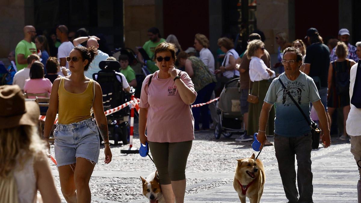 Pasentes con perros.