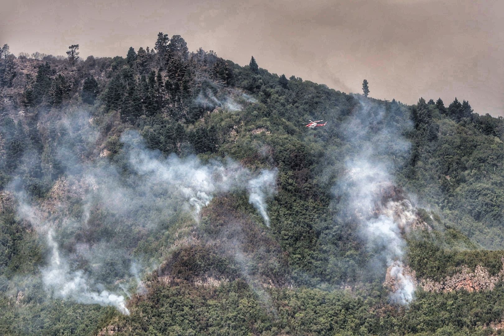 Labores de extinción del incendio en Tigaiga, Tenerife (26/07/2022)