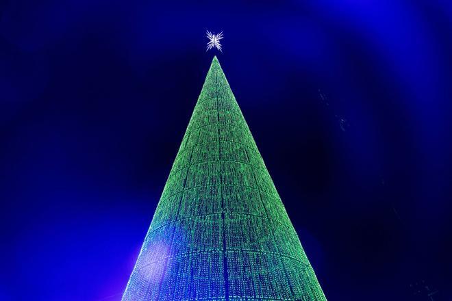 Badalona encenderá su gran árbol de Navidad el 21 de noviembre para inaugurar las fiestas