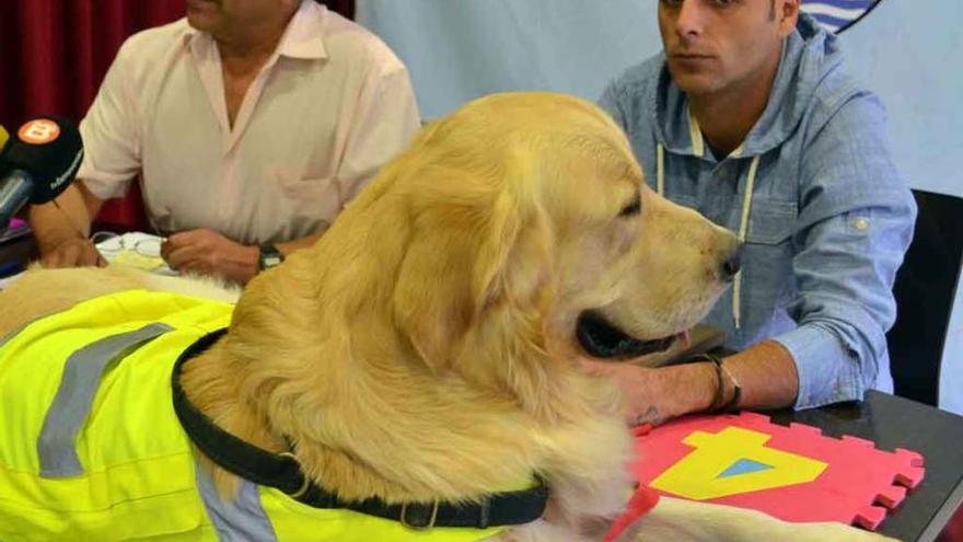 Bongo, el perro que ha participado en las terapias, junto al técnico.