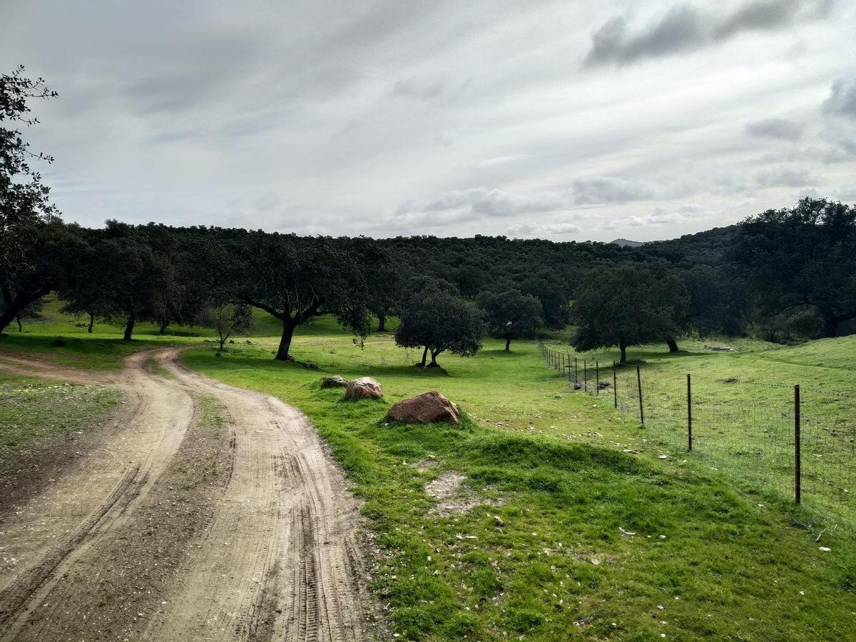 Paisaje de las rutas de senderismo por los alrededores de Alanís.