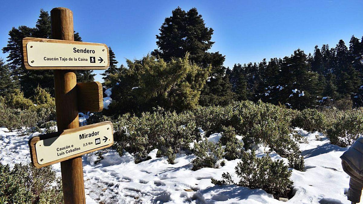 Sendero Luis Ceballos-Tajo de la Caína