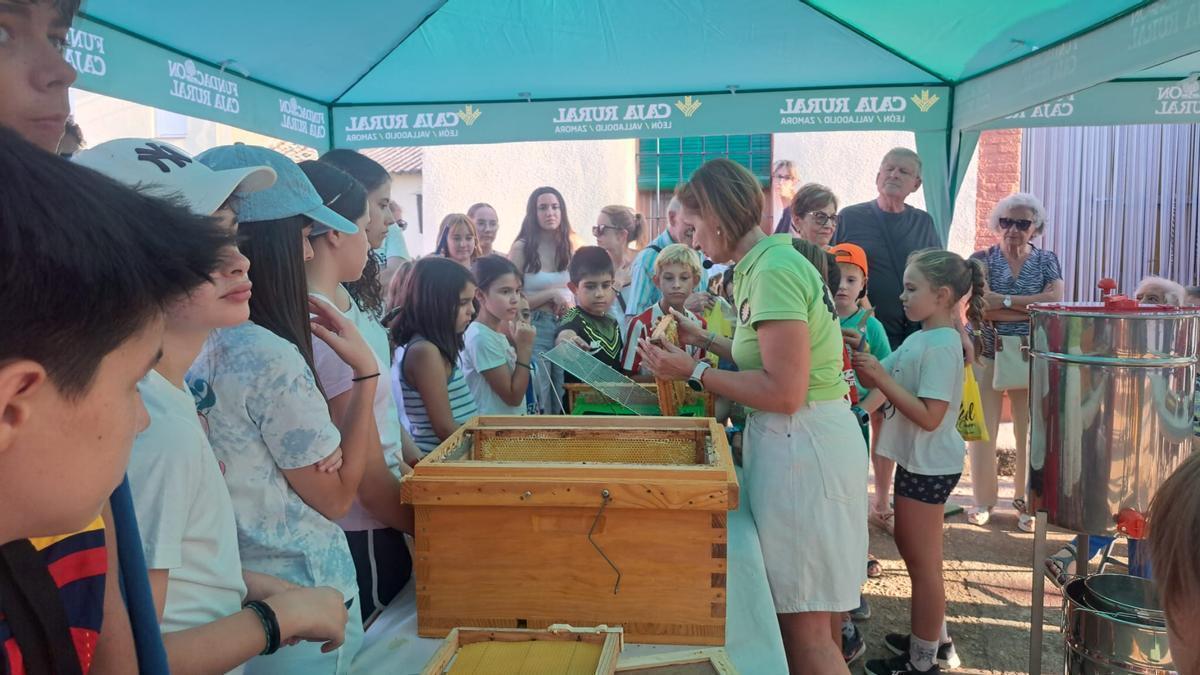 Feria de Artesanía en Bretó.
