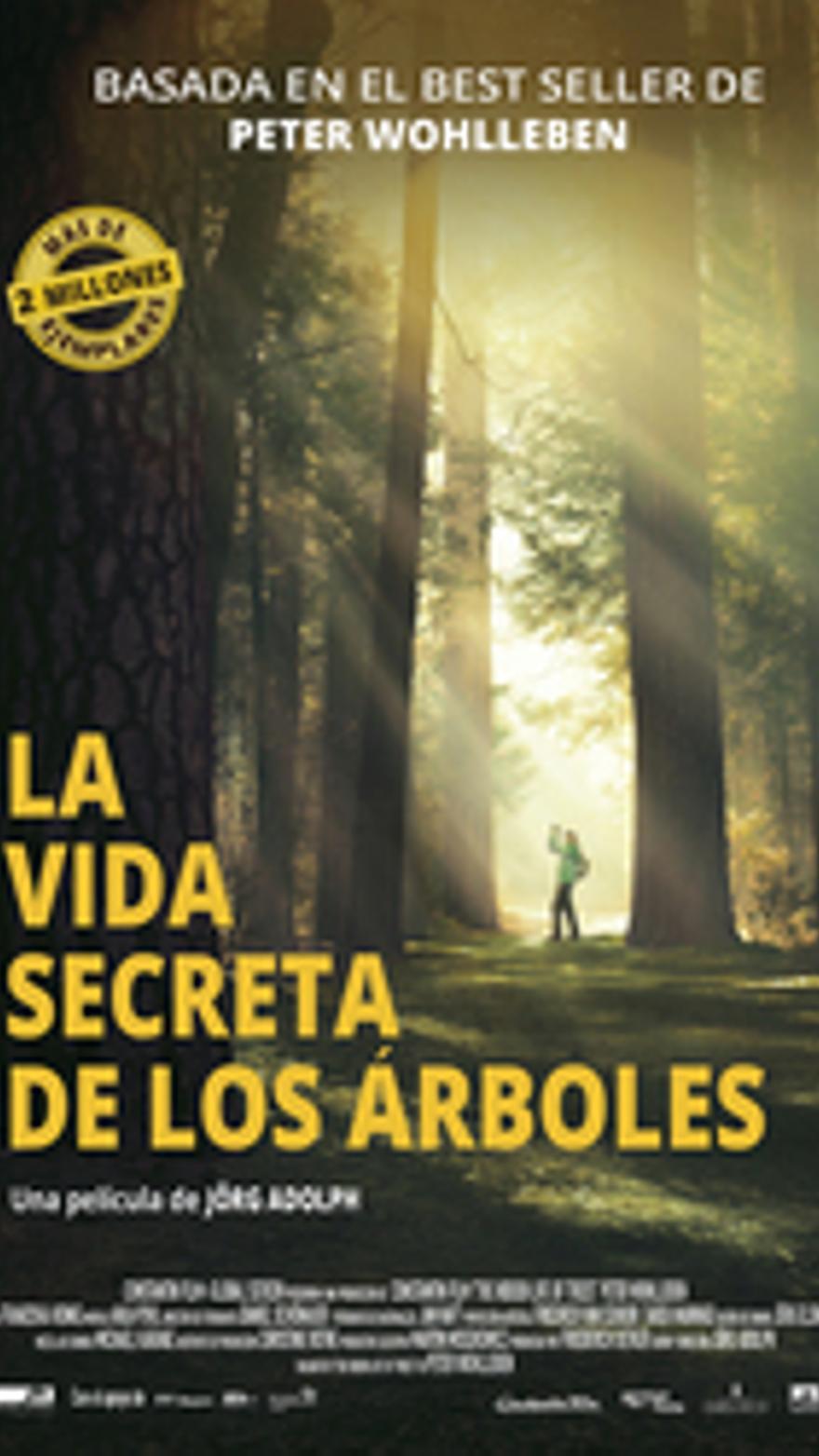 La vida secreta de los árboles