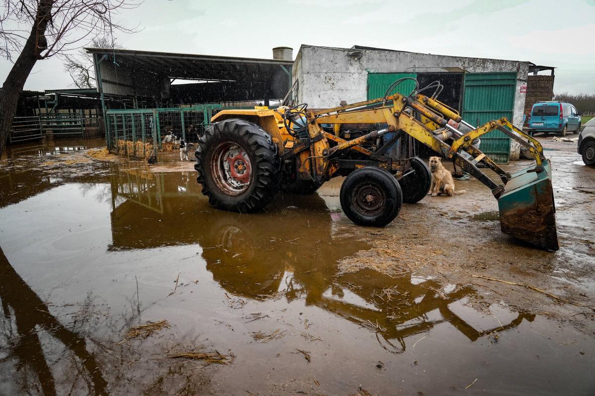 Una explotación ganadera de Gévora, tras el temporal.