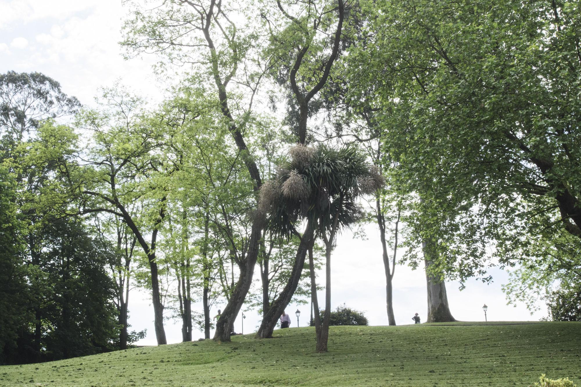 EN IMÁGENES: Así fue el recorrido didáctico en los jardines de La Rodriga en Oviedo