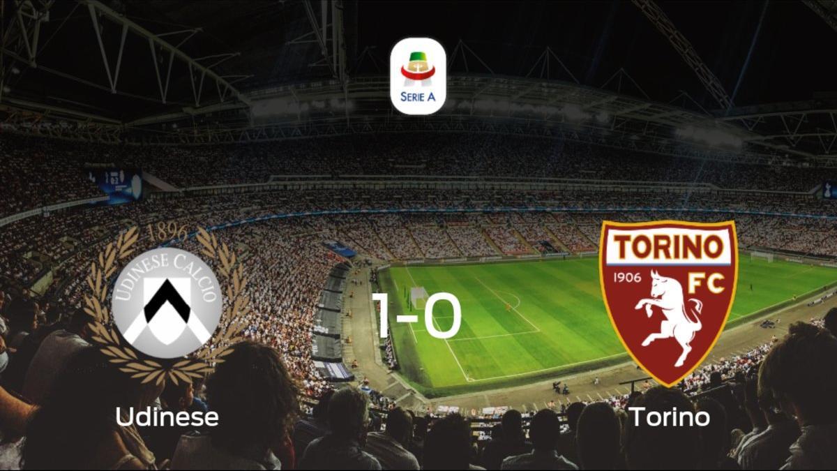 El Udinese consigue la victoria en casa frente al Torino (1-0)